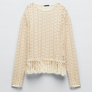 Zara Fringed Mesh Sweater